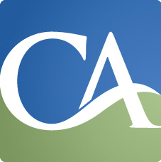 Chaney & Associates logo