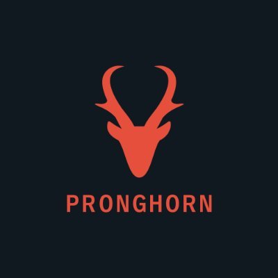 Pronghorn